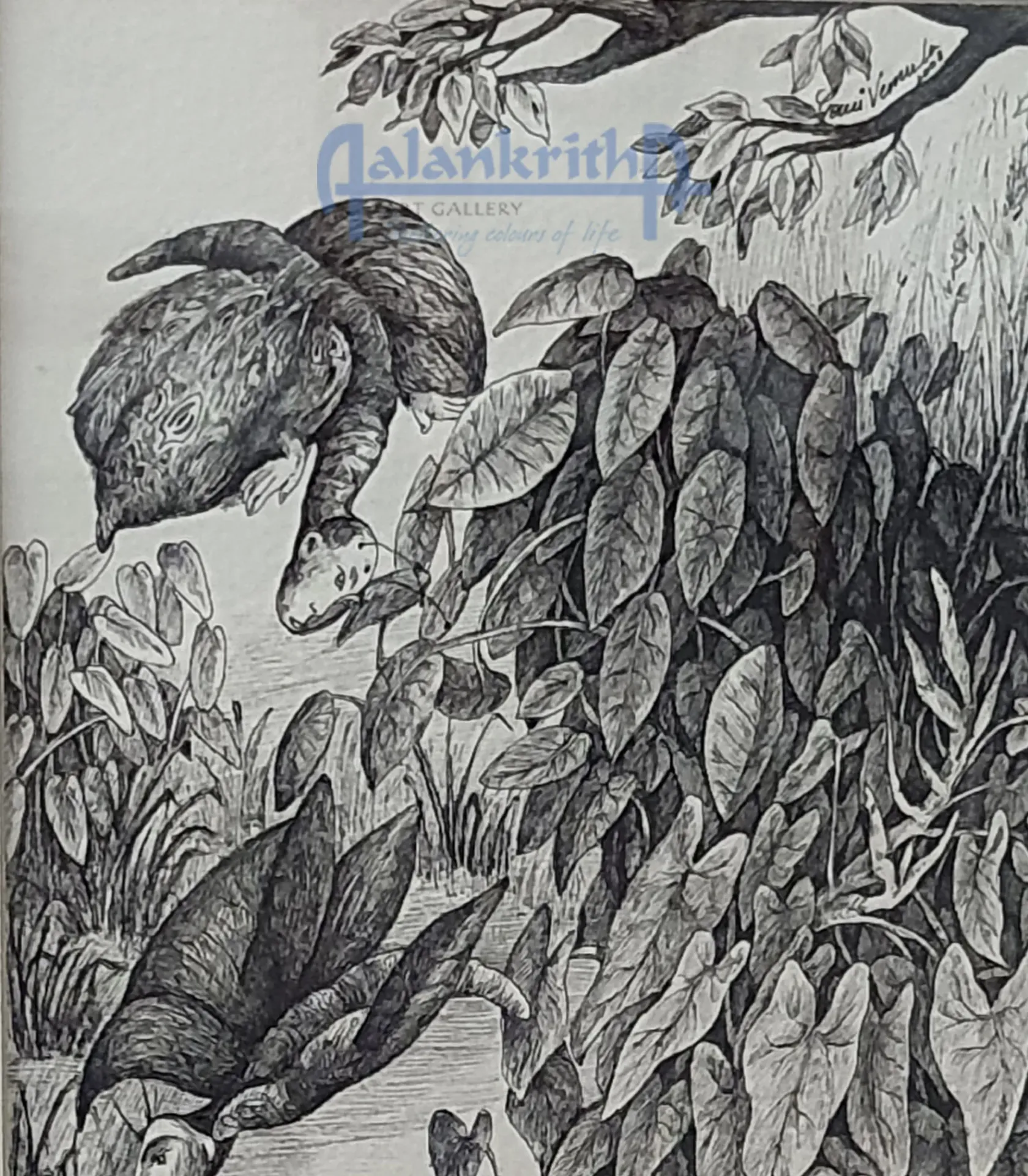 Untitled by Gouri Vemula