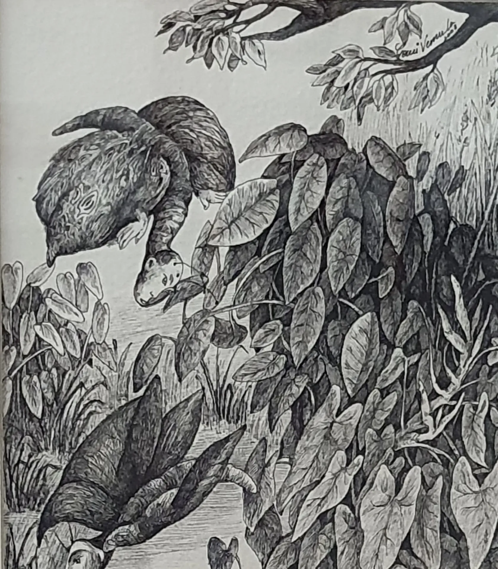 Untitled by Gouri Vemula