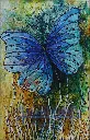 Blue Butterflies by Sowjanya Lavu