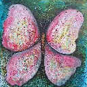 Pink Butterfly by Sowajanya Lavu