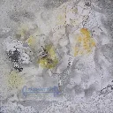 Untitled by Suniyata Khanna