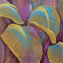 Flowers by Udaya Chiluveru