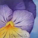 Flower by Udaya Chiluveru